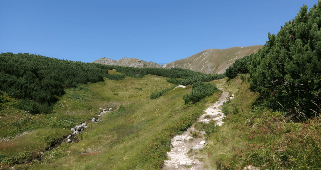 vrch Bystrá 2248 výstup